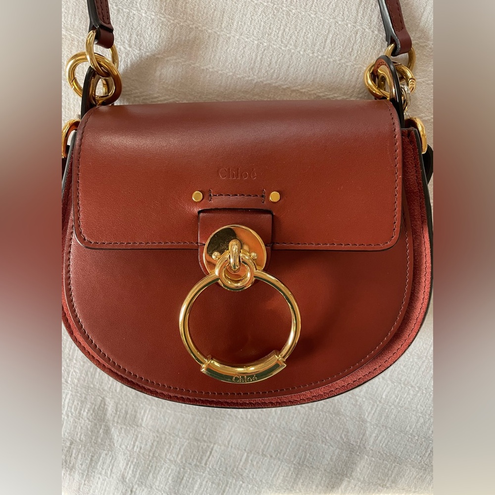 SMALL TESS BAG IN SHINY & SUEDE LEATHER - Picture 9 of 14